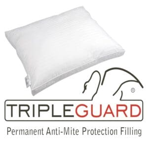 Wit kussen met permanente anti-mijt bescherming